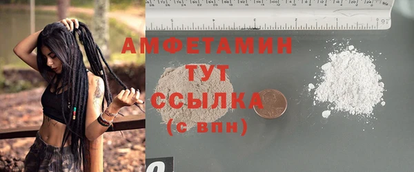 гидра Абаза