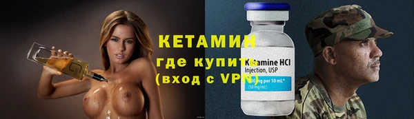 гидра Абаза