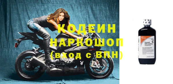 гидра Абаза