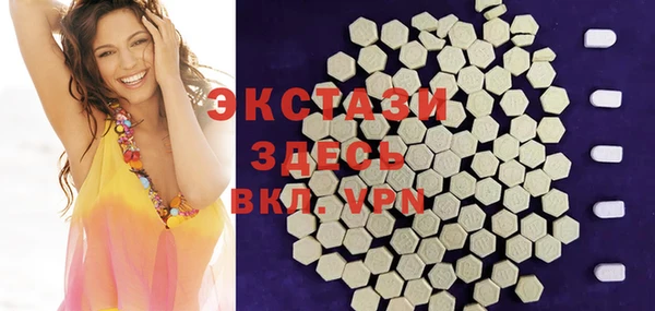 ECSTASY Алзамай