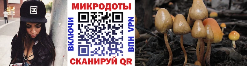 Псилоцибиновые грибы GOLDEN TEACHER  Собинка 